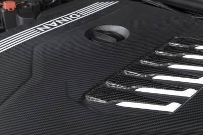 Dinan - Dinan D590-0004 Engine Appearance Cover for BMW