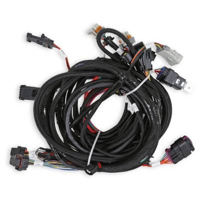 Holley EFI - Holley EFI 558-122 Coyote Ti-VCT Main Harness for Holley EFI HP