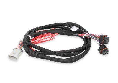 Holley EFI - Holley EFI 558-219 Fuel Injection Harness