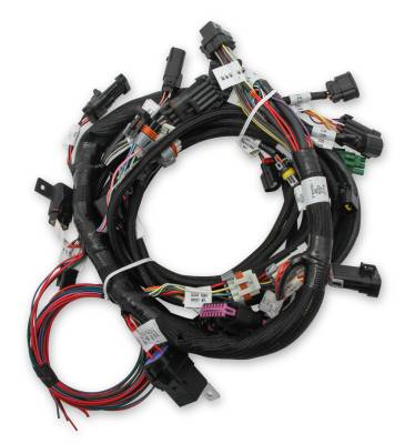 Holley EFI - Holley EFI 558-110 Engine Wiring Harness for Ford Car Coyote 302/315