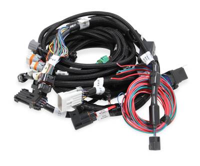 Holley EFI - Holley EFI 558-113 Ignition Harness for Ford Car Modular 281 330