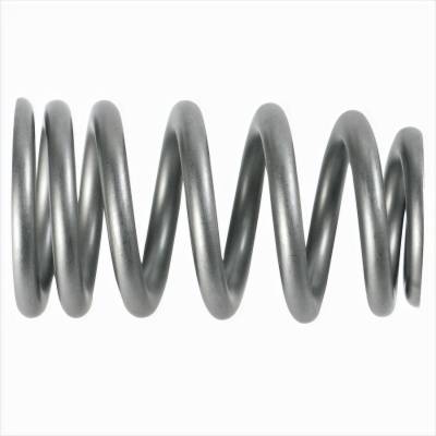 Ford Performance Parts - Ford Racing M-6513-1219X PAC 1219X Beehive Valve Spring 16pc Set