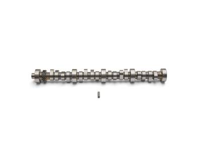 Ford Performance Parts - Ford Racing M-6250-X303 Hydraulic Roller Tappet Camshaft Small Block V8