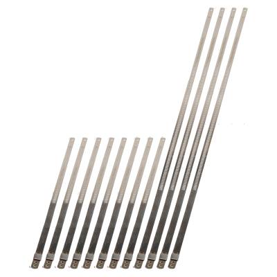 Design Engineering - Design Engineering 10216 Stainless Positive Locking Ties 8mm 9" 8pk 8mm 20" 4pk