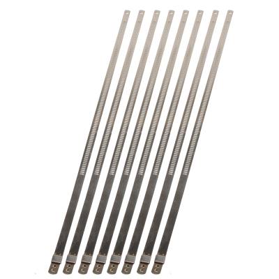 Design Engineering - Design Engineering 10208 Stainless-Steel Positive Locking Ties 7mm x 9" 8pk