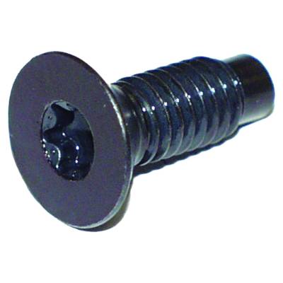 Crown Automotive Jeep Replacement - Crown Automotive 6035757 Windshield Hinges Torx Screw Kit for 97-06 Wrangler TJ