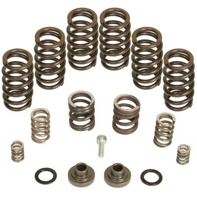 BD Diesel - BD Diesel 1040185 Governor Spring Kit for 94-98 RAM 2500/3500