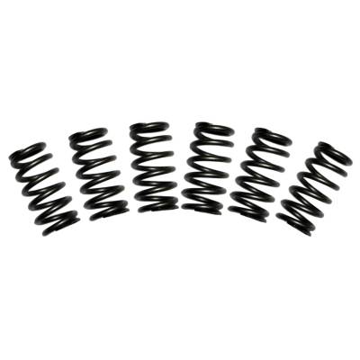 BD Diesel - BD Diesel 1030060 Valve Spring Kit for 88-98 Dodge 2500/3500 Cummins 5.9L