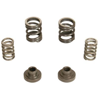 BD Diesel - BD Diesel 1040187 P7100 Governor Spring Kit for 94-98 RAM 2500/3500 12V