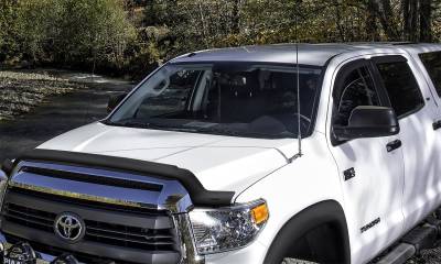 Stampede - Stampede 2038-2 Vigilante Premium Hood Protector Montana/Terraza/Uplander