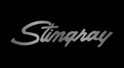 Eurosport Daytona - Eurosport Daytona 3343-1 Carbon Steel License Plate Stingray Script Logo