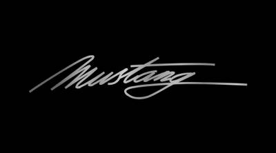 Eurosport Daytona - Eurosport Daytona 2525-1 Lazer-Tag License Plate Mustang Script Logo