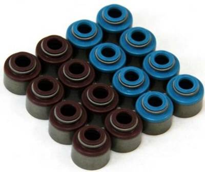 GSC Power-Division - GSC Power Division 1002 Valve Stem Seal Set