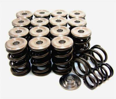GSC Power-Division - GSC Power Division 5049 Spring/Retainer Kit Dual Spring Titanium Retainer