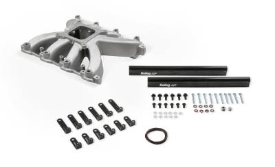 Holley - Holley 300-269 Holley Single Plane EFI Intake for Car GM LS
