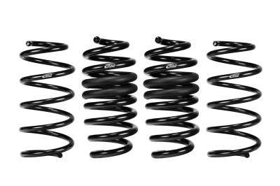 Eibach - Eibach E10-35-051-03-22 Springs for Ford Explorer PRO-KIT 4PC Set
