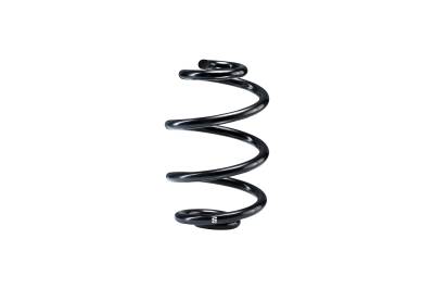 Eibach - Eibach R10305 Single Rear Spring