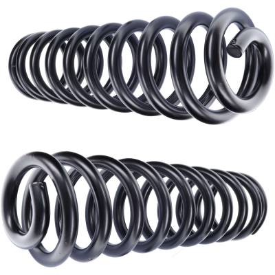 Camburg - Camburg CAM-110105 2.5 Performance Coil Springs Pair Diesel