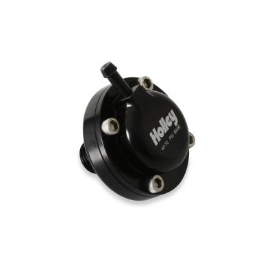 Holley - Holley 12-1002 Fuel Injection Pressure Damper