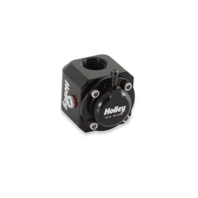 Holley - Holley 12-1006 Fuel Injection Pressure Damper