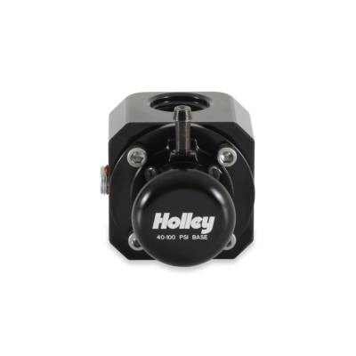 Holley - Holley 12-1009 Fuel Injection Pressure Damper