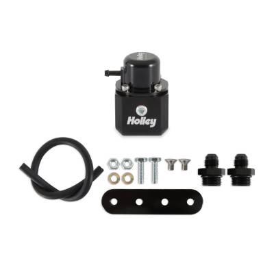 Holley - Holley 12-1008 Fuel Injection Pressure Damper
