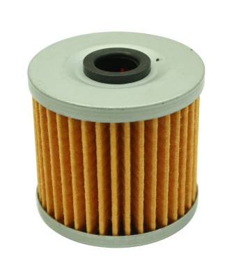 AEM Electronics - AEM Electronics 25-203 Fuel Filter Element