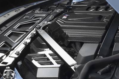 Dinan - Dinan D590-0005 BMW Convertible/Coupe/Sedan 3.0 Engine Appearance Cover