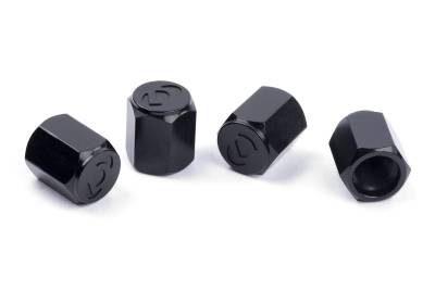 Dinan - Dinan D757-0007 Tire Valve Stem Cap for BMW/Mini/Tesla/Toyota