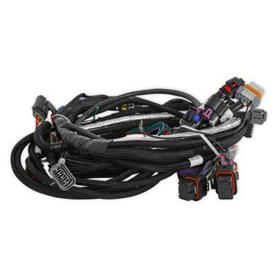 Holley EFI - Holley EFI 558-130 Engine Control Module ECM Wiring Harness