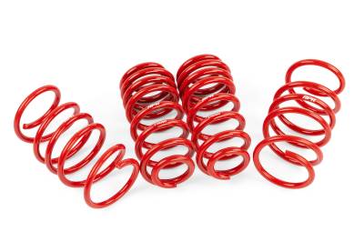 APR - APR SUS00016 Coil Spring Lowering Kit for 22-25 Volkswagen GTI 2.0