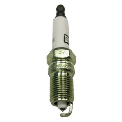 Champion Spark Plug - Champion Double Platinum Boxed RS14PMPB5