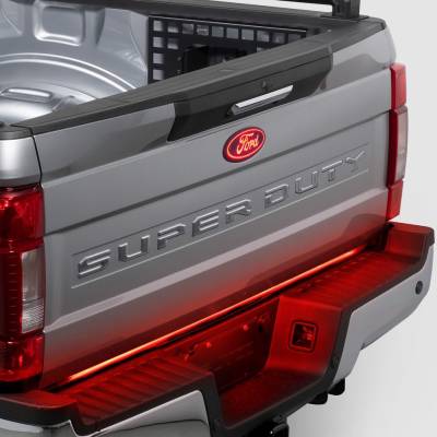 Putco - Putco 55552FD Stainless Tailgate Letters for 17-19 F250-F450