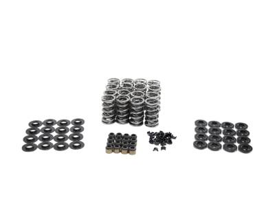 Brian Tooley Racing - Brian Tooley Racing SK001/S/0545/BB Platinum LS Dual Spring Kit