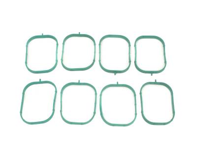 Brian Tooley Racing - Brian Tooley Racing BTR-26354 GEN V INTAKE GASKET SET