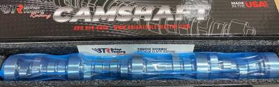 Brian Tooley Racing - Brian Tooley Racing BTR-31218110 CAMSHAFT