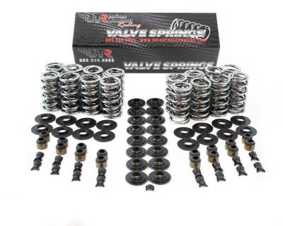 Brian Tooley Racing - Brian Tooley Racing SK001/S/0560/BB PLATINUM LS DUAL SPRING KIT