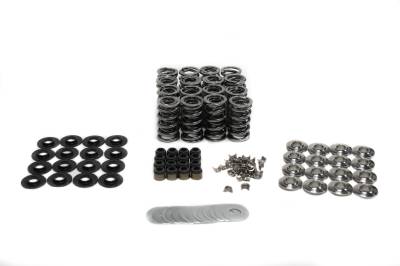 Brian Tooley Racing - Brian Tooley Racing SK007/0560/BB GEN V LT1 PLATINUM DUAL SPRING KIT