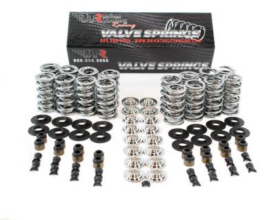 Brian Tooley Racing - Brian Tooley Racing SK001/T/0560/BB PLATINUM LS DUAL SPRING KIT