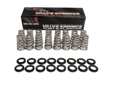 Brian Tooley Racing - Brian Tooley Racing SK017 .650" Lift Valve Spring Kit for 09-23 GEN III HEMI