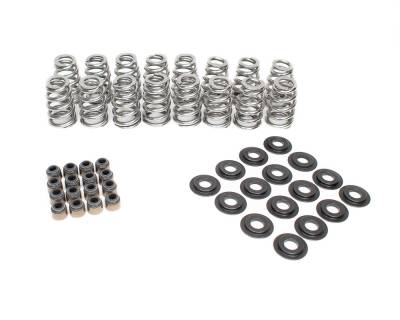 Brian Tooley Racing - Brian Tooley Racing BTR-SK018 .625 LIFT VALVE SPRING KIT