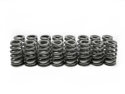 Brian Tooley Racing - Brian Tooley Racing SP011-16 .560" LS6 BEEHIVE VALVE SPRING SET