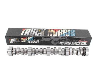 Brian Tooley Racing - Brian Tooley Racing TRUCKNORRIS TRUCK NORRIS CAM