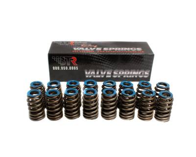Brian Tooley Racing - Brian Tooley Racing BTR91120-16 GEN V BEEHIVE SPRING SET .550 LIFT