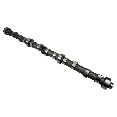 Crown Automotive Jeep Replacement - Crown 53010448AA Camshaft for 99-06 Jeep Wrangler TJ WJ & XJ 4.0L Engine