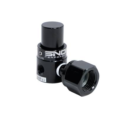 Snow Performance - Snow Performance SNO-353 CO2 Regulator Dual Outlet Fixed 100 PSI 1/8npt Outlet