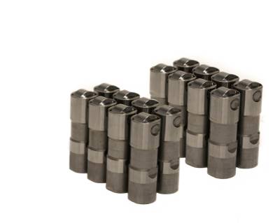 Brian Tooley Racing - Brian Tooley Racing X12499225-16 Delphi LS7 Lifters Set Of 16