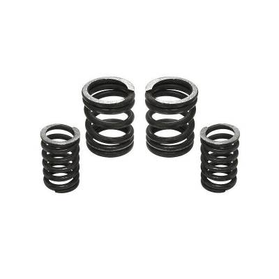 Industrial Injection - Industrial Injection 232702 5000 RPM Governor Spring Kit 5000GSK