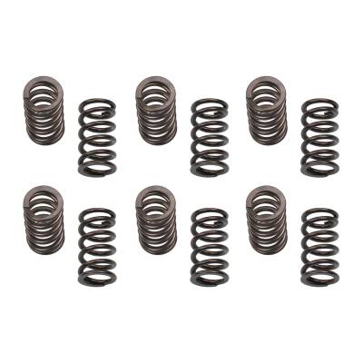 Industrial Injection - Industrial Injection 24G801 12 Valve Cummins Performance 150LB Valve Spring Kit