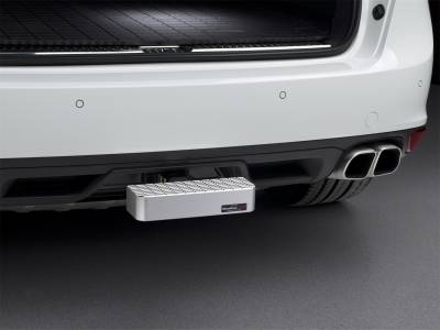 Weathertech - WeatherTech 8ABS5V2SS Billet BumpStep
